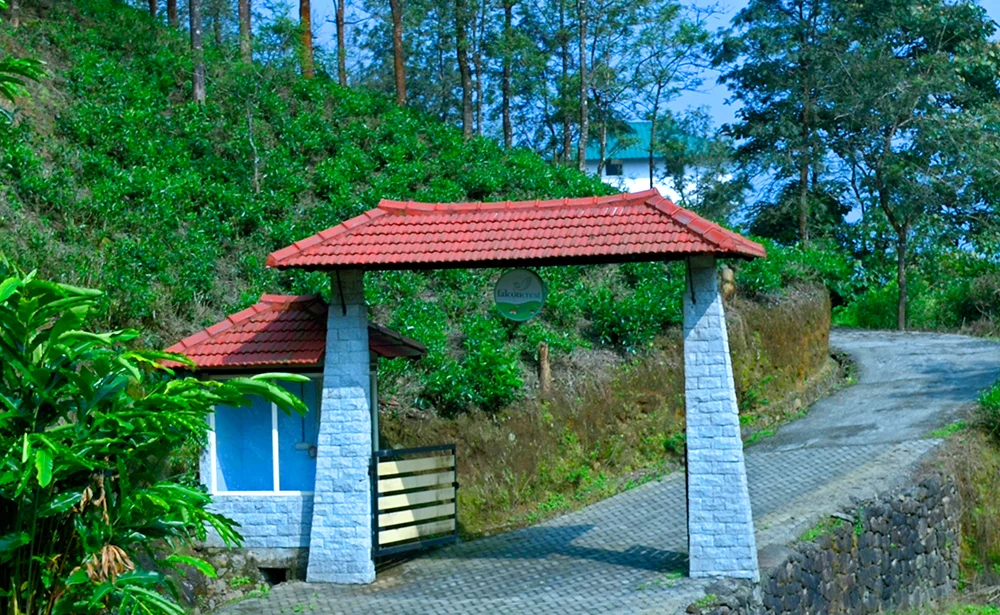 Falcon Crest Resort In Vagamon wedding setup photo