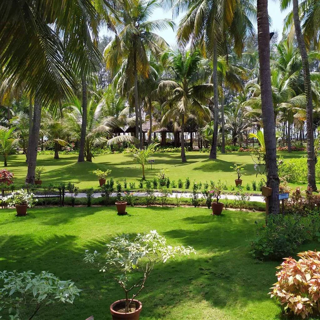 Sastha Gardens In Ernakulam wedding setup photo