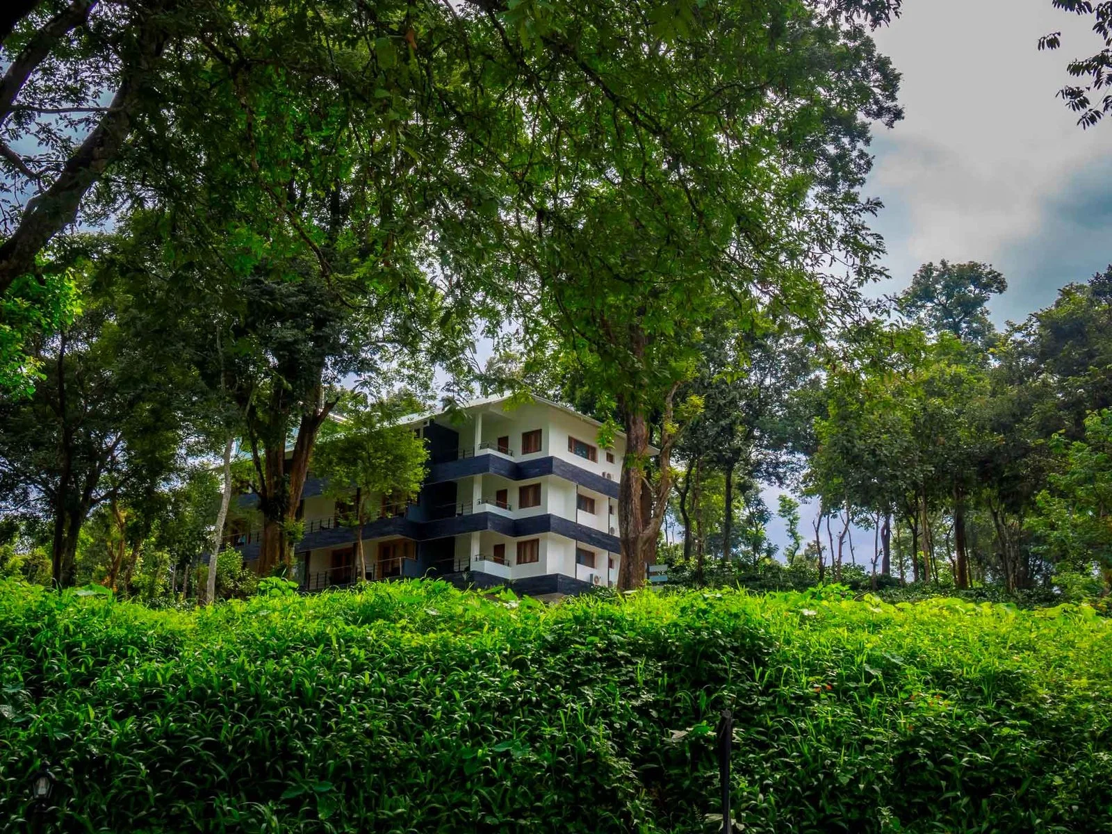 The Hill District Club In Wayanad